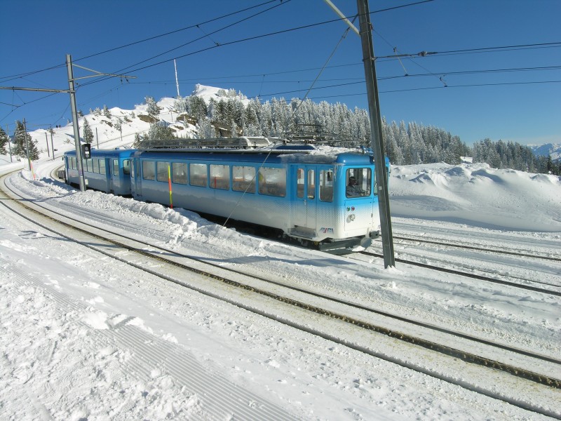 Rigi_train 18-11-2007 (audrius Meskaukas).jpg