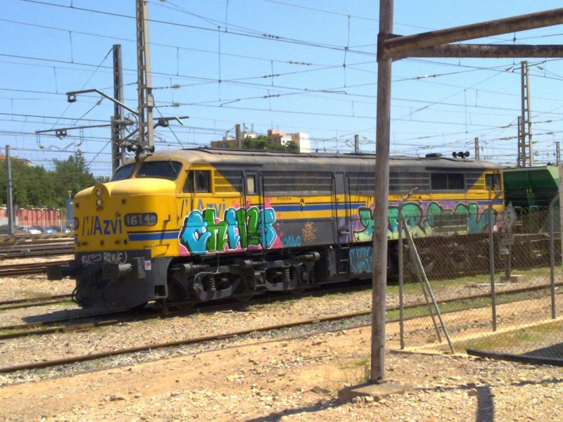 5553.jpg