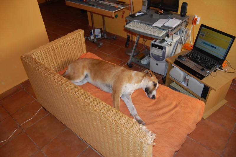 DSC_1957.JPG