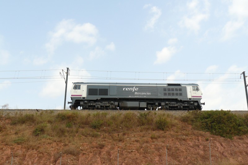 P1100860.JPG