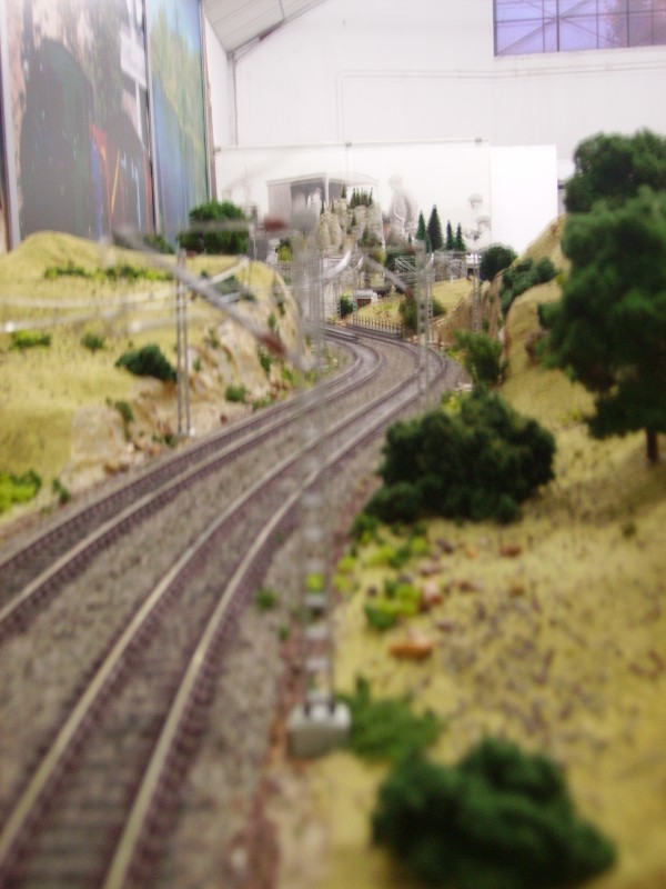 PICT0037.JPG