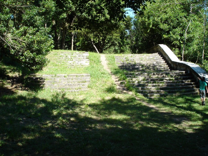 DSC05724.JPG