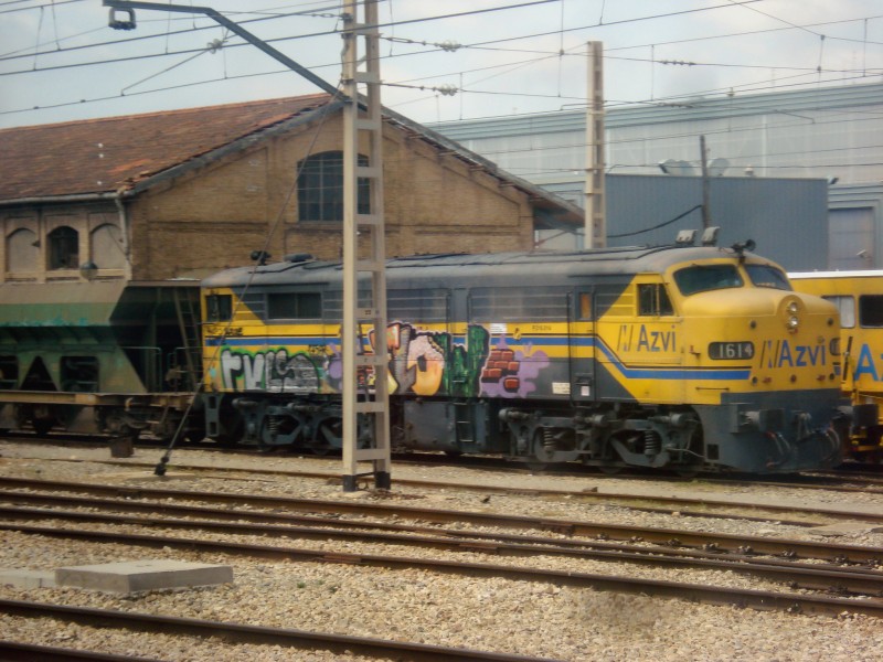 DSC00290.JPG