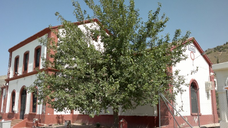 200720122449.jpg