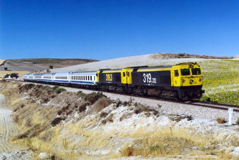 5564.jpg