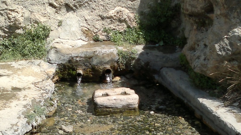 200720122455.jpg