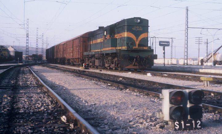 5178.jpg