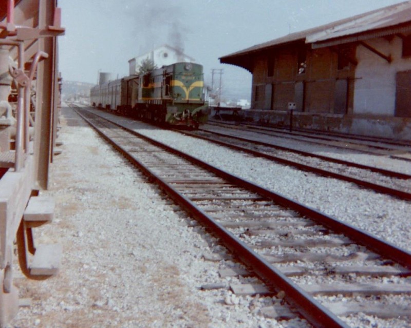 5514.jpg