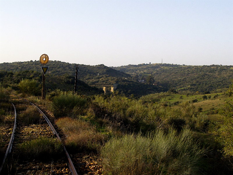 _A297779.JPG