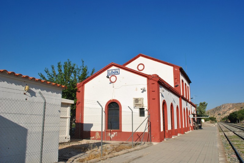 5565.jpg