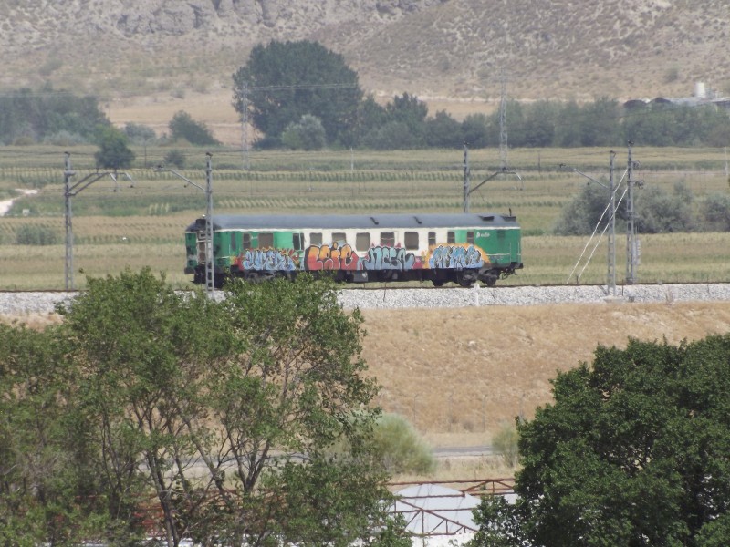 DSCF1206.jpg