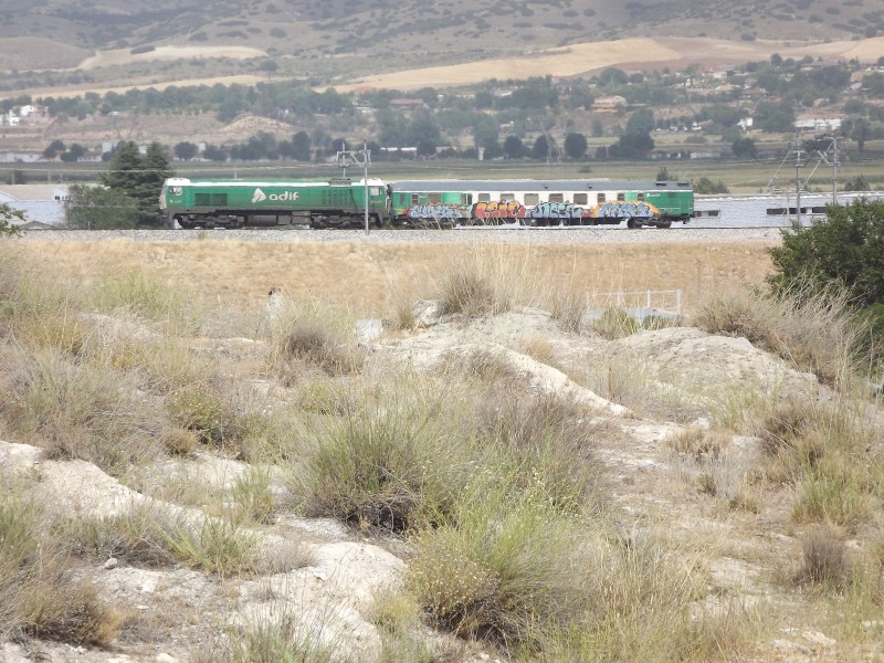 DSCF1221.jpg