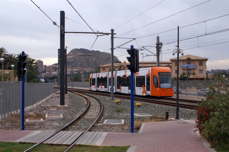 5533.jpg