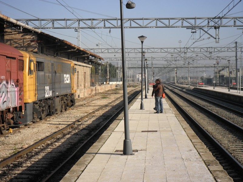 PB130011.JPG