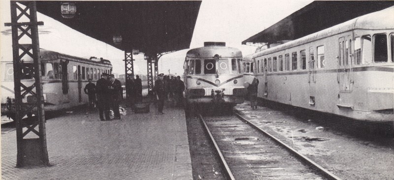 5651.jpg
