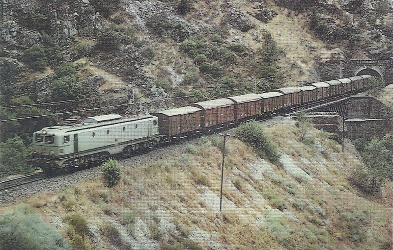 mercante con francesa.jpg