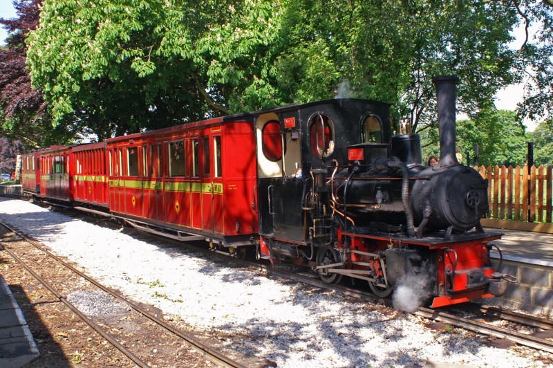 5619.jpg