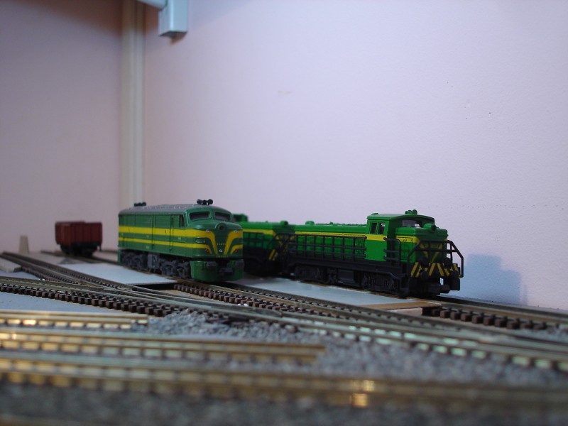DSC04825.JPG