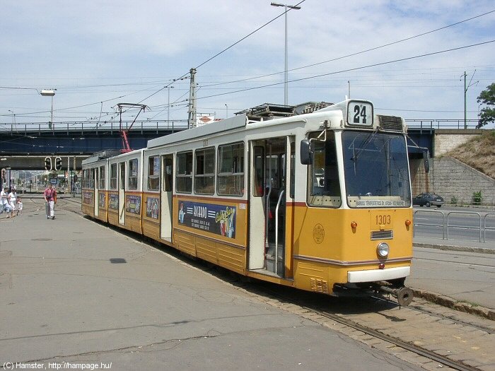 5684.jpg