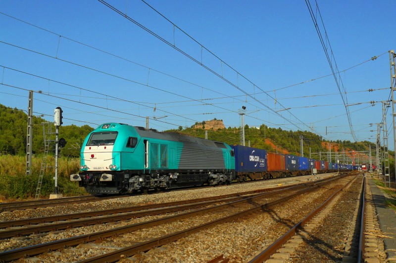P1110104.JPG