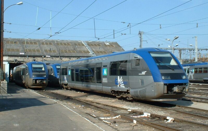 ter1.jpg