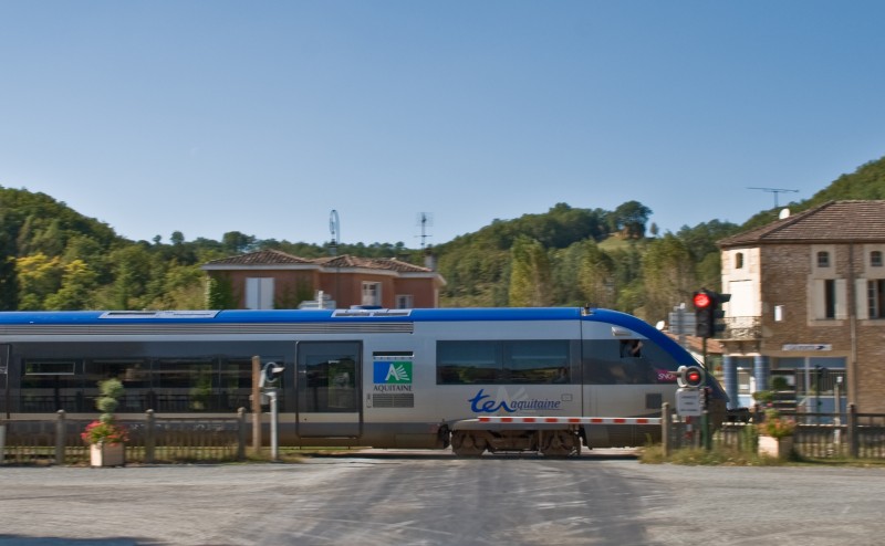 ter2.jpg