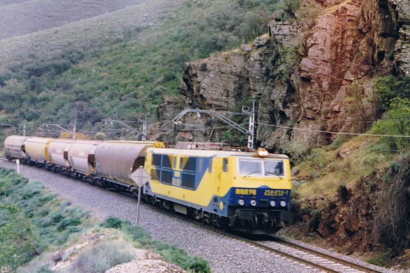 250 con mercancias.jpg