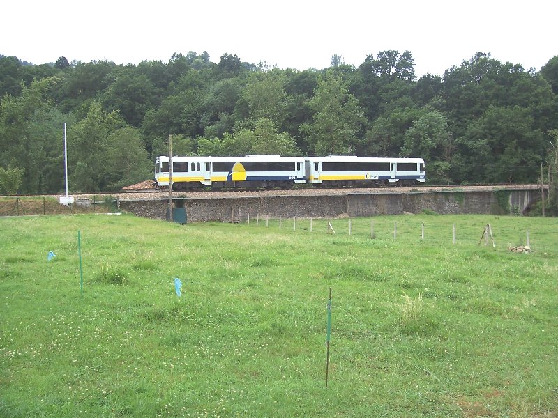 2400.jpg