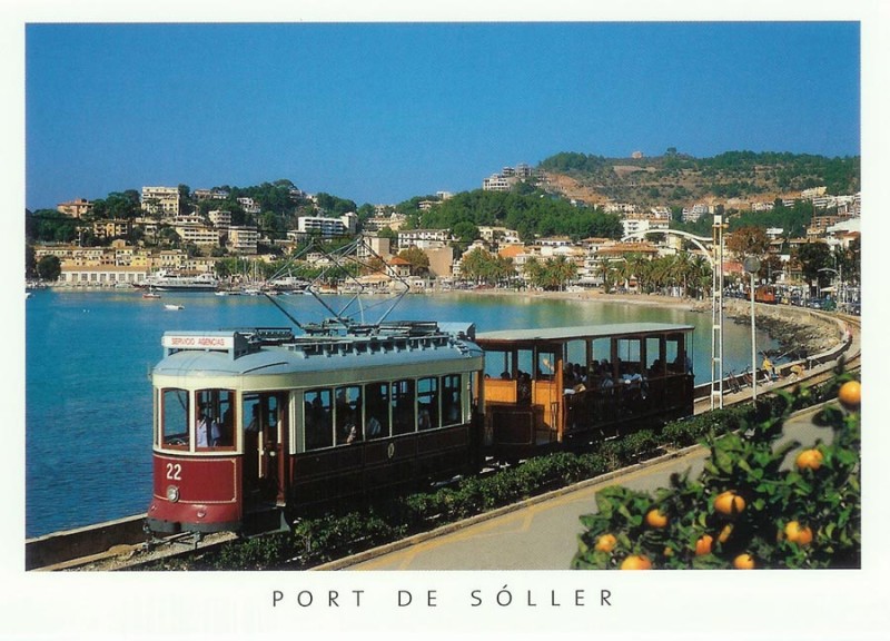5611.jpg