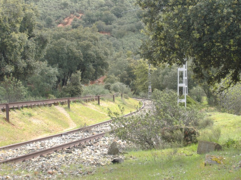 DSCF0904.JPG
