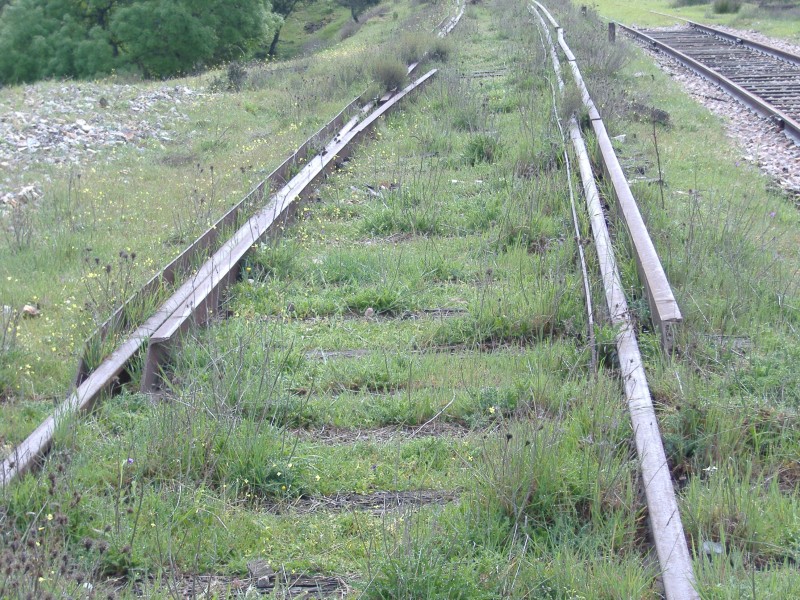 DSCF0901.JPG
