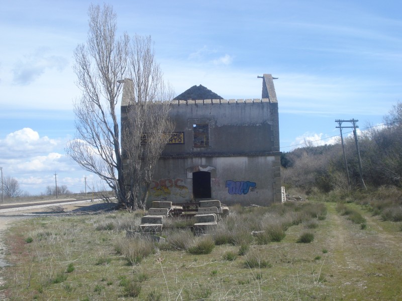 DSC08998.JPG