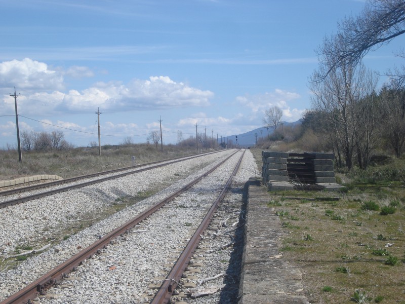 DSC08997.JPG