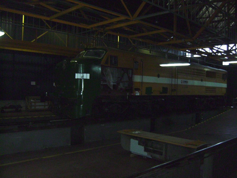 SANY2446.JPG