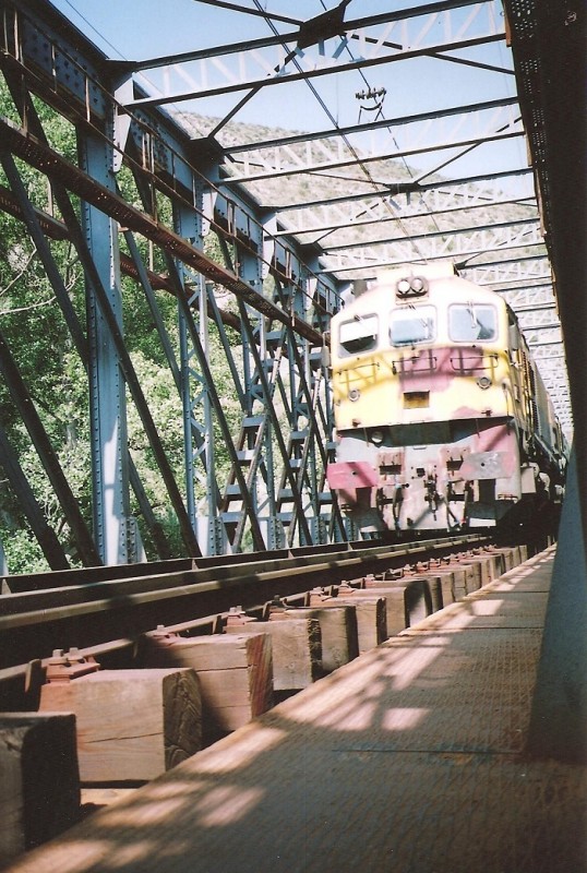 319 estr 001.jpg