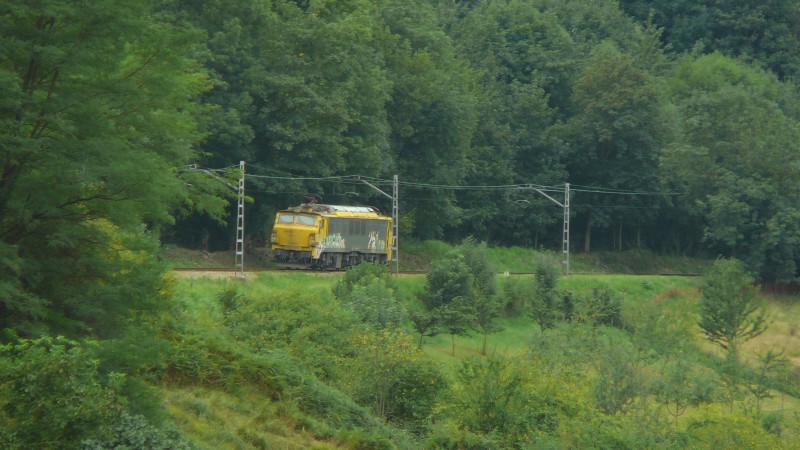 P1030020.JPG