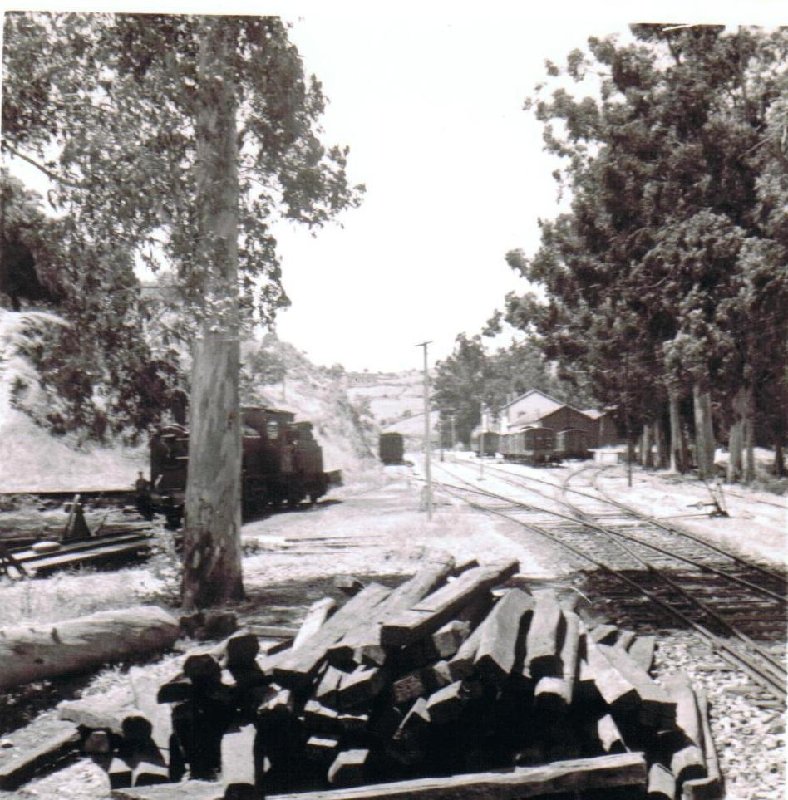 ESTACION FREGENEDA ANTIGUA.jpg