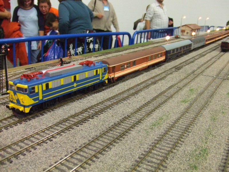 dscf0210.jpg