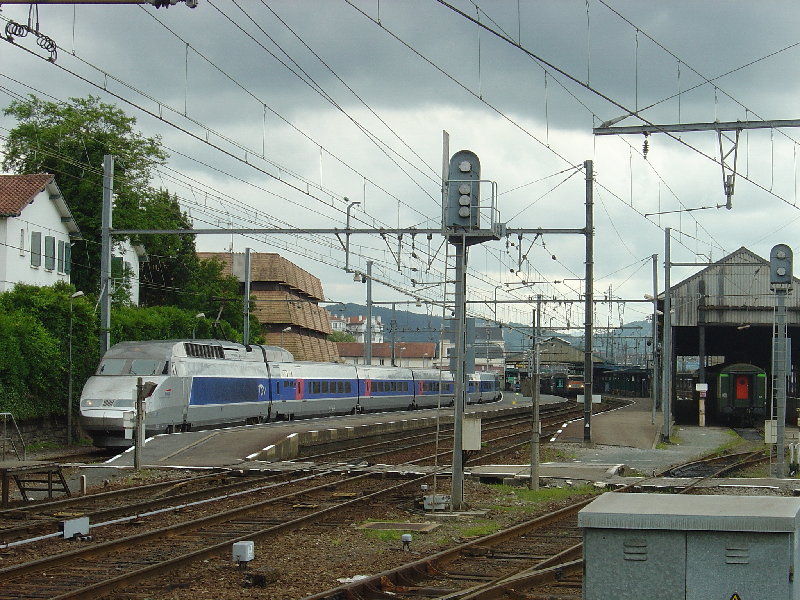 DSC01099.JPG