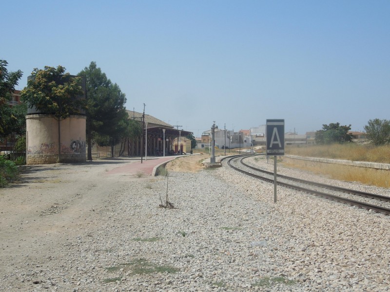 agosto 12 255.JPG