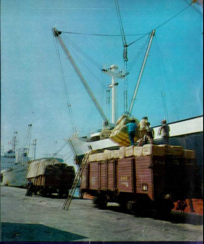 Xfv-X.JPG