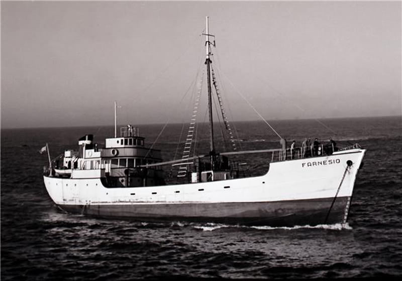 Farnesio (19XX) NAVIERA DE ALICANTE Leixoes 24-08-1951.jpg