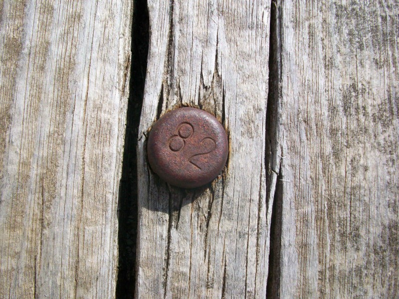 año-R.jpg