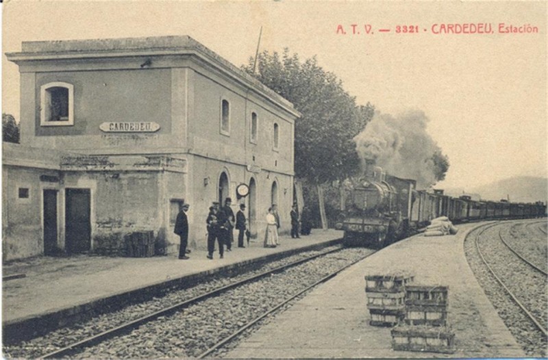 5945.JPG