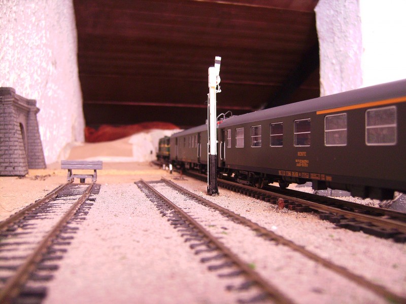 SANY2526.JPG