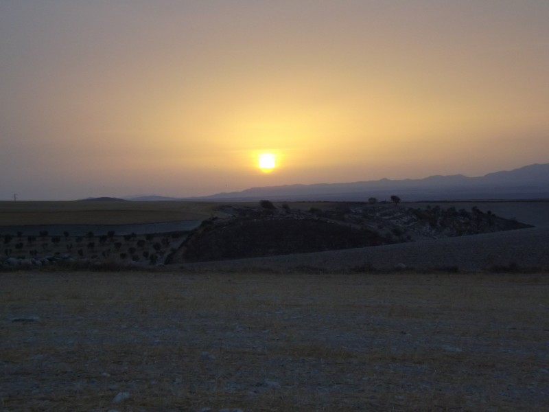 DSCF0560.JPG