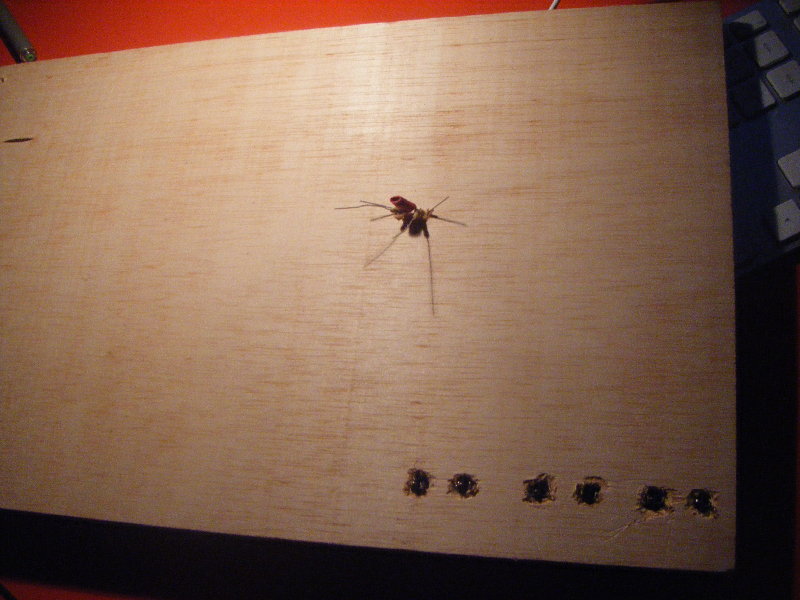 dscf2991.jpg