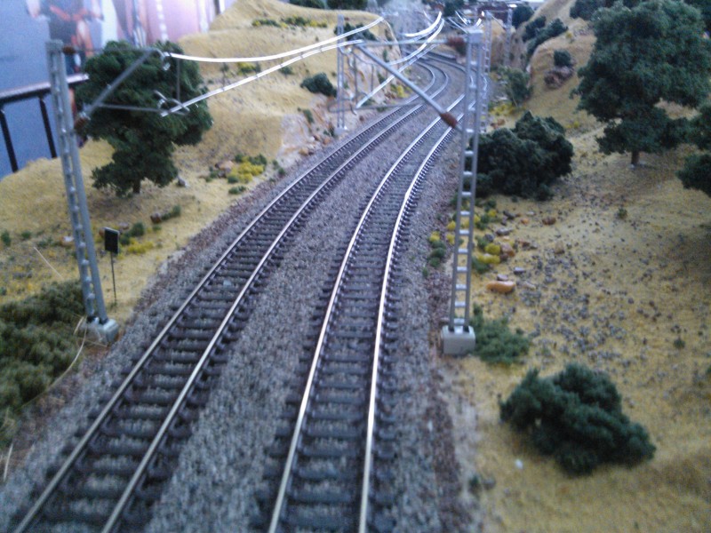 WP_000426.jpg