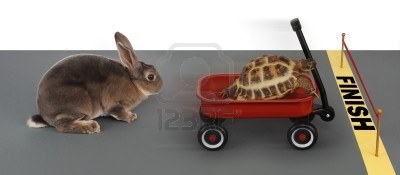 7055278-tortuga-contra-un-conejo-.jpg