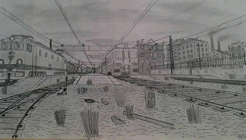 mataro.jpg